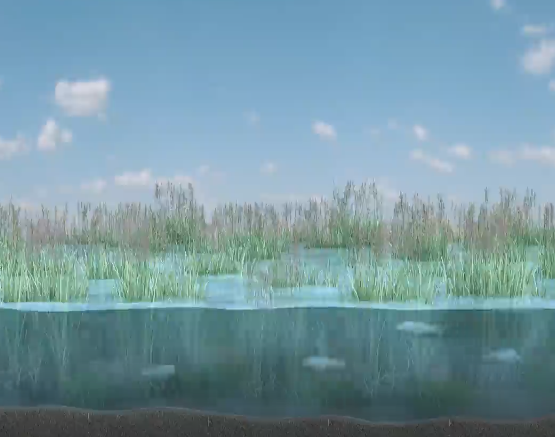 宜興水處理海綿城市宣傳片-虎置集團制作